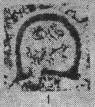 Eotuberitina crassa Poyarkov, 1961 Eotuberitina crassa Poyarkov, 1961