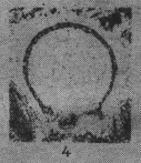 Eotuberitina talassica Poyarkov, 1961 Eotuberitina talassica Poyarkov, 1961