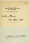 Rubeus venetus Grandori, 1912