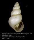 Pyrgohydrobia convexa Logvinenko & Starobogatov, 1966