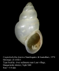 Caspiohydrobia ljaurica Starobogatov & Izzatullaev, 1974. Holotype