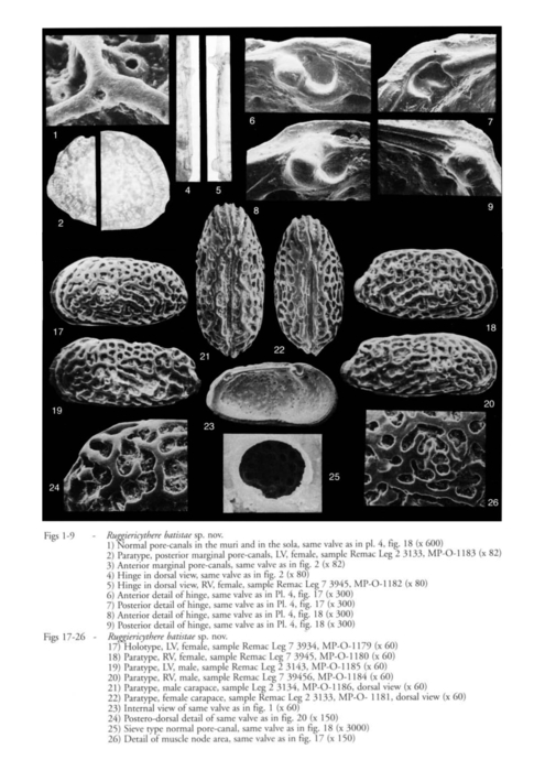 Ruggiericythere batistae