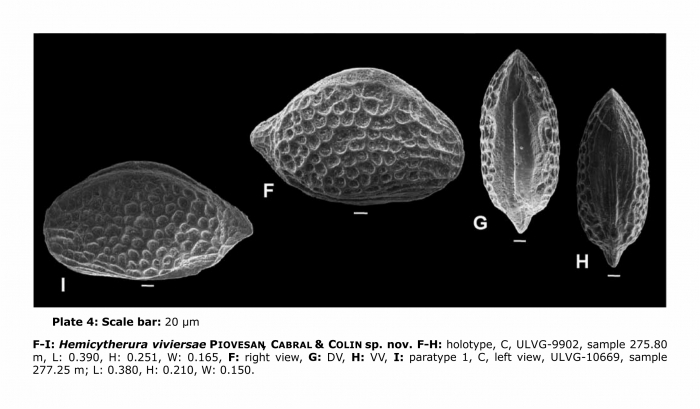 Hemicytherura viviersae