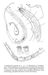 Acantholaimus calathus Gerlach, Schrage & Riemann,1979