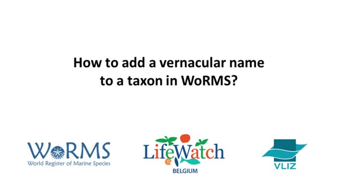 Editor instruction videos