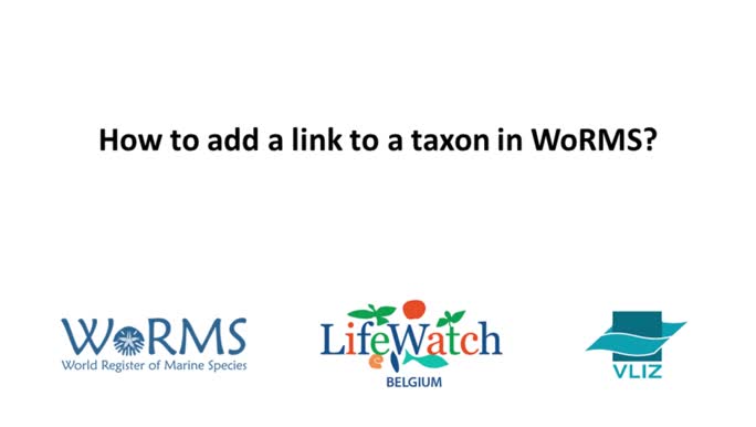 Editor instruction videos