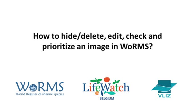 Editor instruction videos