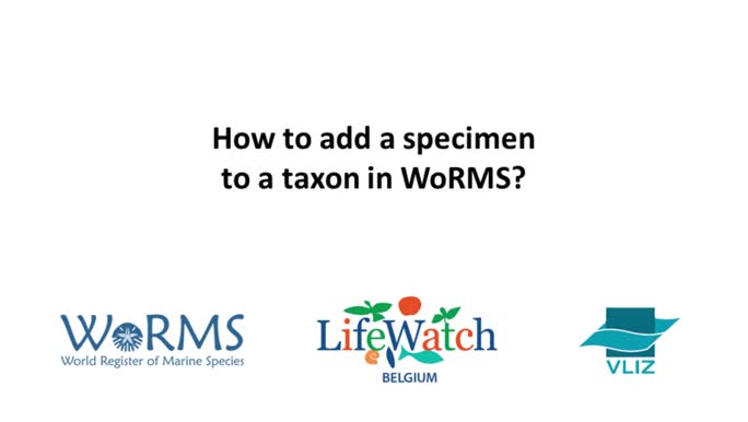 How to add a specimen to a taxon in Aphia