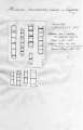 Chromista - Bacillariophyceae (diatoms)