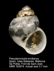 Pseudamnicola emilianus