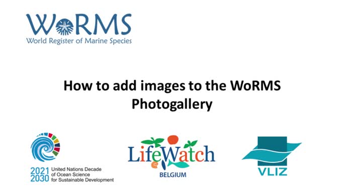 How to add images and videos to the WoRMS Photogallery