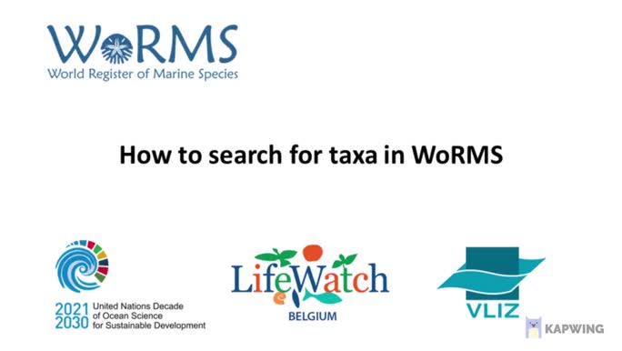 How to search taxa in WoRMS