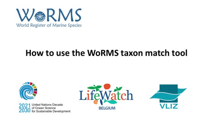 How to use the taxon match tool