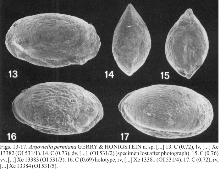 Arqoviella permiana