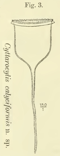 Original description illustration