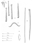 Acarnus primigenius spicules from type