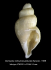 Oenopota reticulosculpturata Sysoev, 1988. Holotype