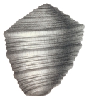 Pterocera beaumontiana d'Orbigny, 1843, pl. 213 