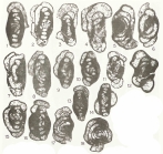 Hemigordius irregulariformis Zaninetti, Altiner & Çatal, 1981