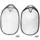 Lagena bursiformis Buchner, 1940