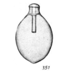 Lagena lecythiformis Buchner, 1940