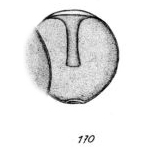 Lagena pseudoglobosa Buchner, 1940 Lagena pseudoglobosa Buchner, 1940