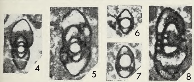 Moncharmontia compressa (De Castro, 1966) Moncharmontia compressa (De Castro, 1966)
