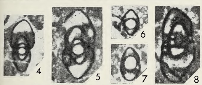 Moncharmontia compressa (De Castro, 1966)