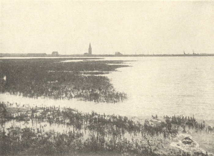 Massart (1908, foto 100)