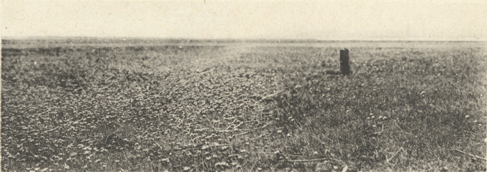 Massart (1908, foto 105) Massart (1908, foto 105)