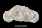 Aboral view of corallum of the holotype of Sandalolitha dentata.