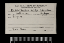 Label from a syntype of Blastotrochus nutrix Milne Edwards & Haime, 1848