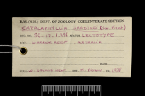 Label from the lectotype of Catalaphyllia jardinei (Saville Kent, 1893)