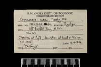 Label for a syntype of Cyathoceras cornu Moseley, 1881