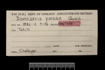 Label for a syntype of Domoseris porosa Quelch, 1886