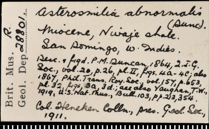 Label for a syntype of Trochocyathus abnormalis Duncan, 1864