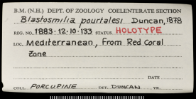 Label for holotype of Blastosmilia pourtalesi Duncan 1878.