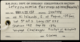 Label for syntype of of Letepsammia formosissima (Moseley, 1876).