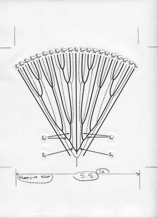 Letepsammia formosissima, diagrammatic representation