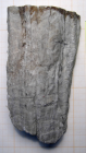 Holotype of Pruvostastraea labyrinthiformis type species of the genus