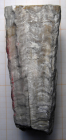 Holotype of Pruvostastraea labyrinthiformis type species of the genus