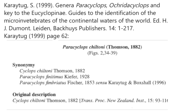 Paracyclops chiltoni Karaytug, S. 1999