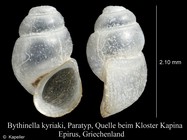 Bythinella kyriaki