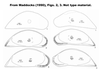 Macrocyprididae