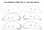 Macrocypris minna (Baird, 1850), figures from Maddocks, 1990, Figs 2,3