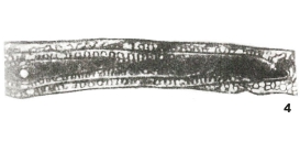Eofusulina (Paraeofusulina) subtilissima Putrya, 1956