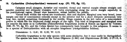 Cytheridea (Dolocytheridea) vermunti Bold, 1946, text (p. 83) from the original description