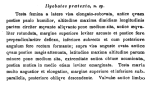 Description of Ilyobates praetexta Sars, 1866(original description by Sars, 1866: 60)