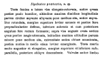Description of Ilyobates praetexta Sars, 1866 (original description by Sars, 1866: 60)
