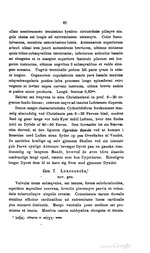 Description of Ilyobates praetexta Sars, 1866(original description by Sars, 1866: 61)